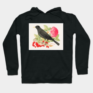 Black Bird with Roses (18th Century) Hoodie